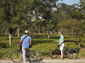 Cycling-holiday-Assam-Northeast-India